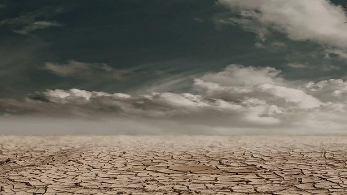 dunare imagini satelit efecte seceta