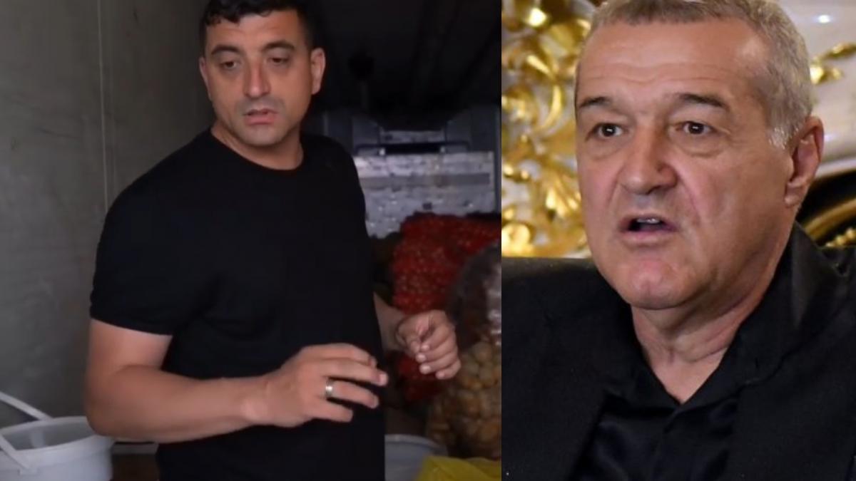 branza gigi becali nunta george simion