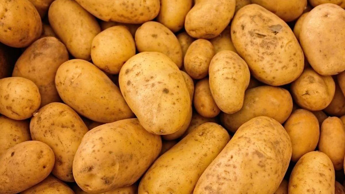 cartofi romanesti preturi mari seceta