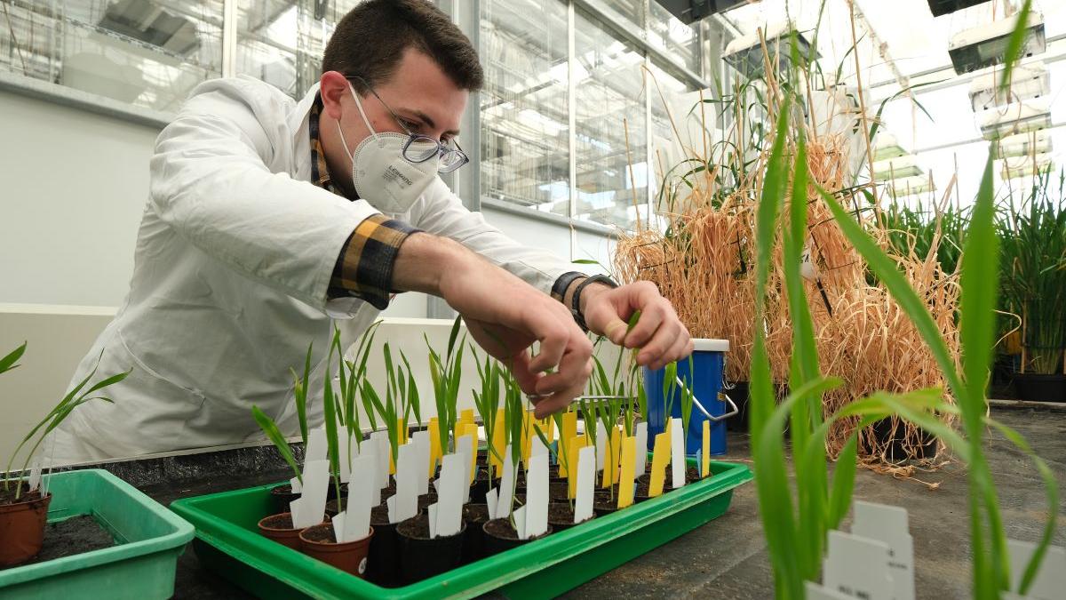 cercetatori romani sustinuti fundatia dan voiculescu