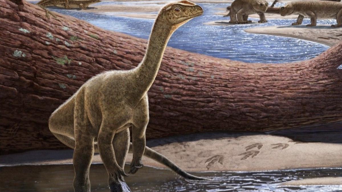 cel mai vechi dinozaur africa gasit zimbabwe 230 milioane ani