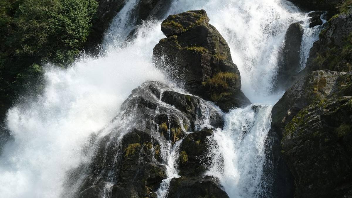 familie intreaga murit selfie cascada india