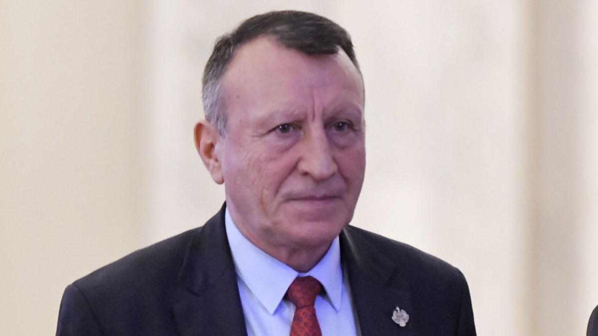 paul stanescu psd alegeri partid mare