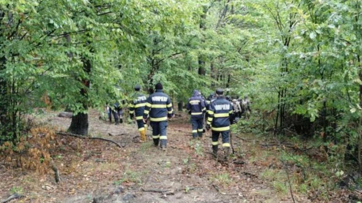 batran disparut padure vorona botosani