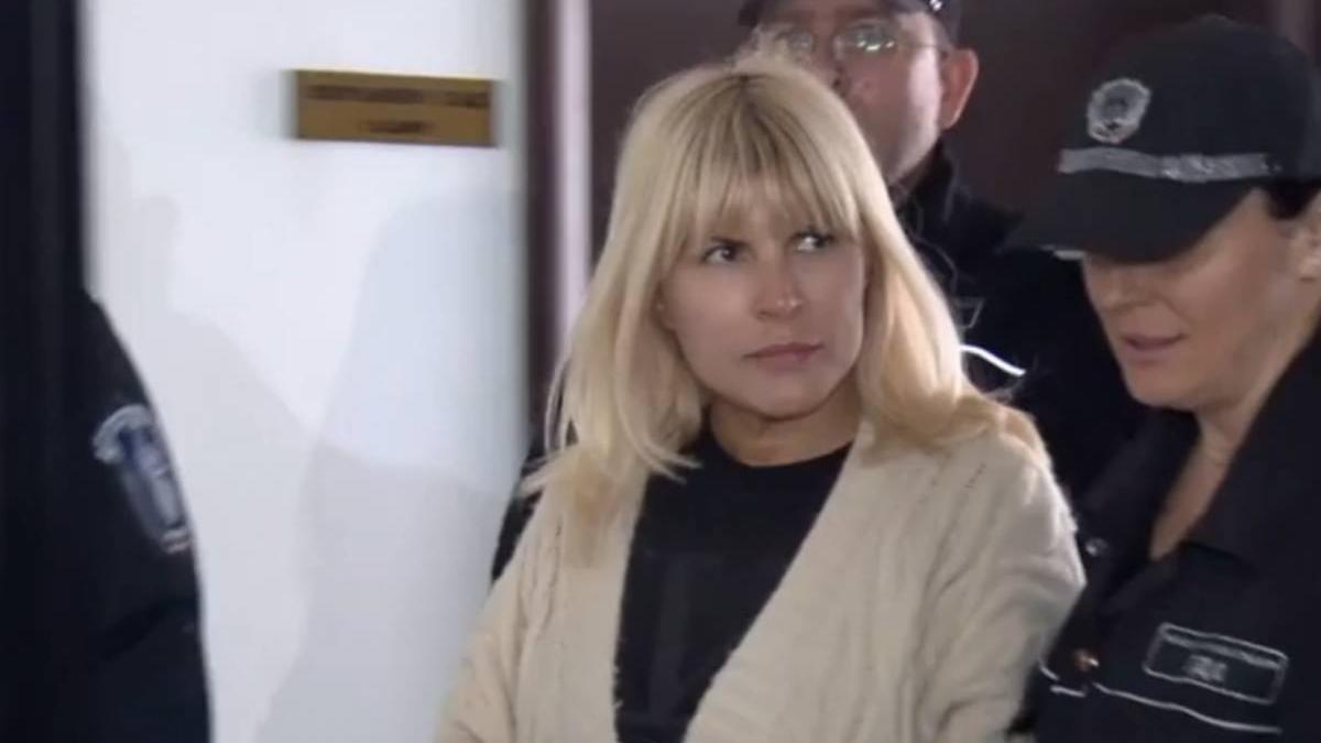 elena udrea adusa cu duba la bucuresti