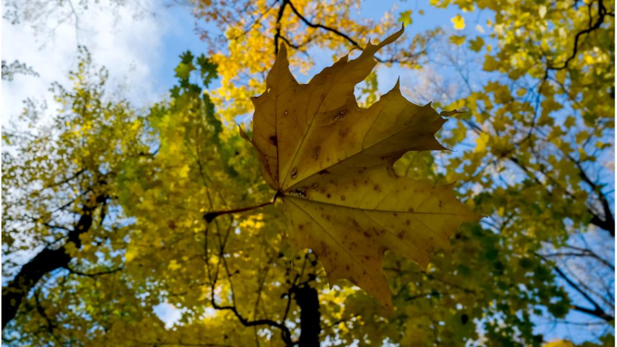 anm prognoza meteo 5 18 septembrie