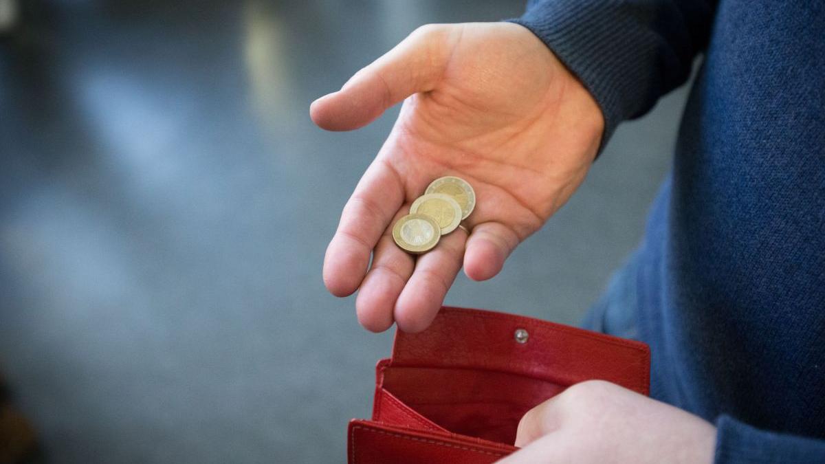 miliarde euro ajutor populatie iarna guvern german