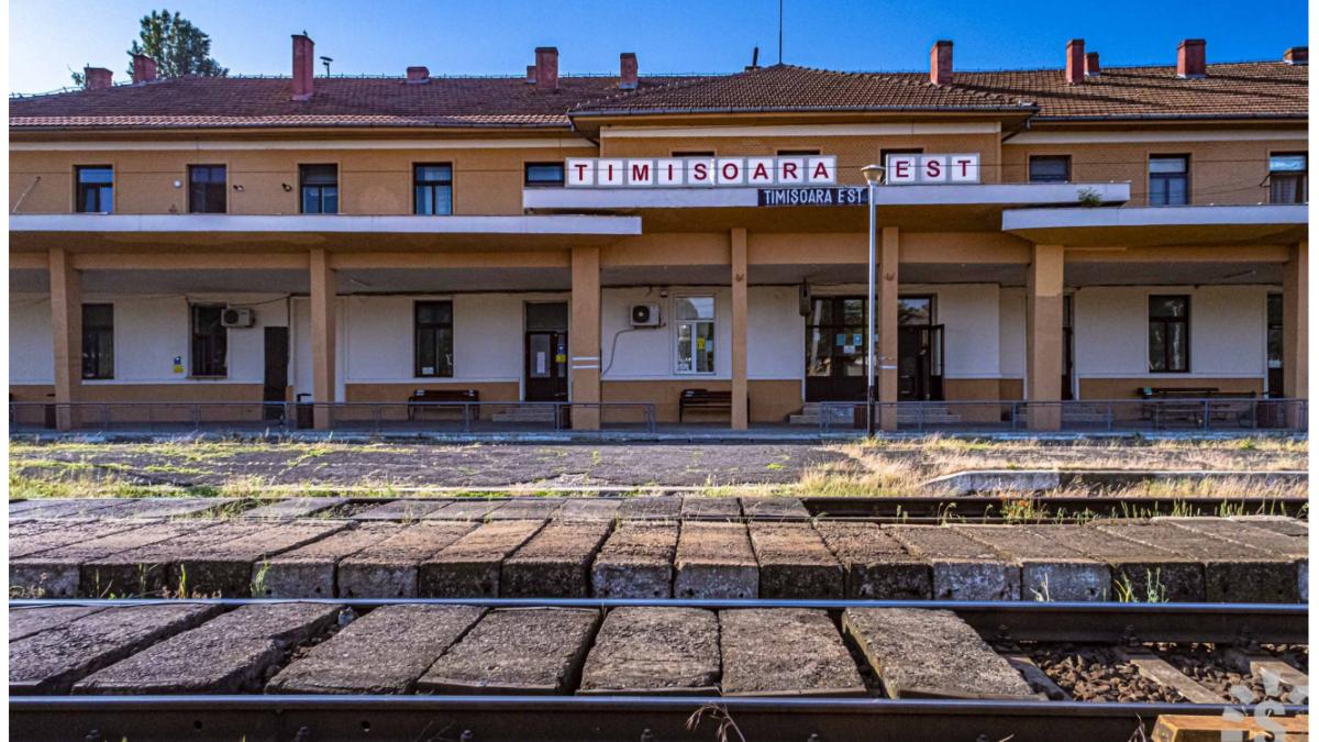 primul caz hartuire sexuala loc munca cedo cfr timisoara