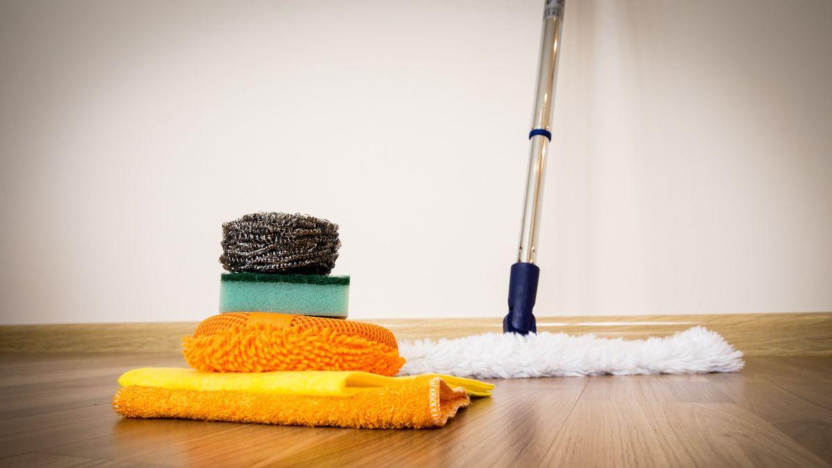 burete bucatarie cel mai murdar obiect din casa