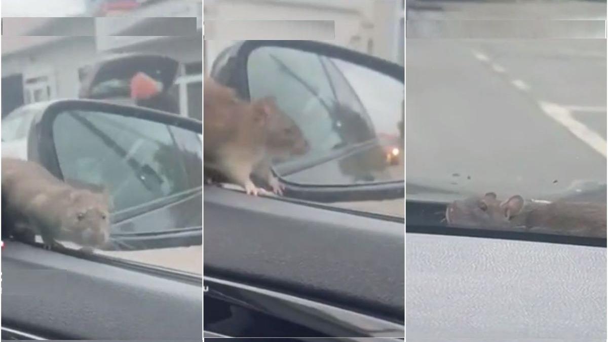 moment sobolan sare sofer parbriz masina conduce bucuresti