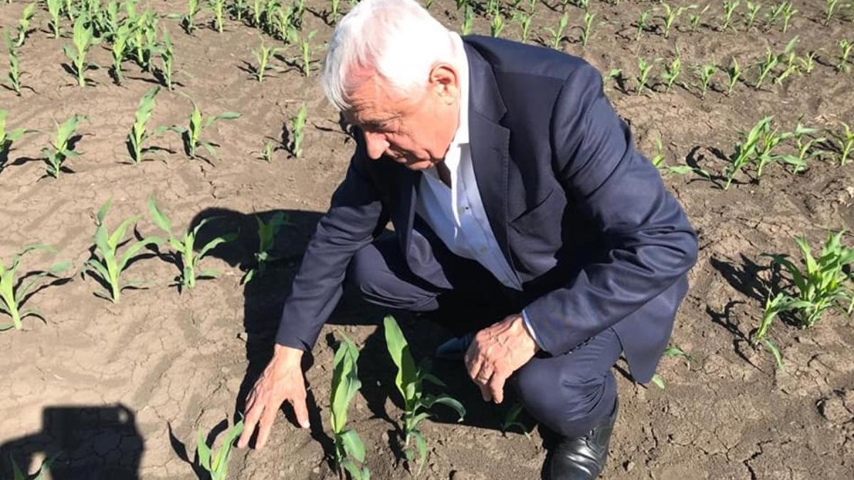 nicolae ciuca transant petre daea sedinta de guvern 7 septembrie 2022