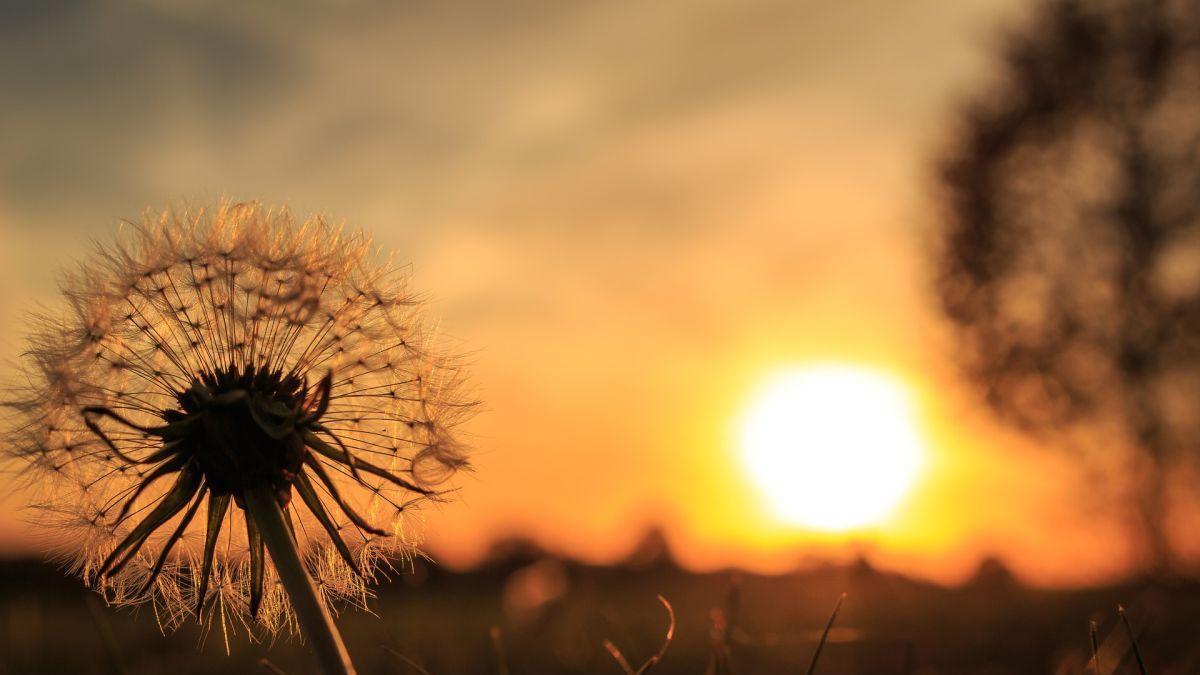 prognoza meteo vremea se incalzeste ploi grindina