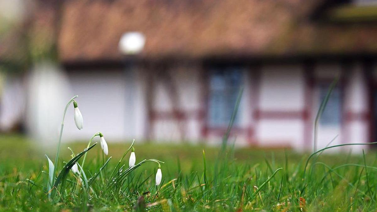 primar romania cumpara case nelocuite da familii fara locuinta