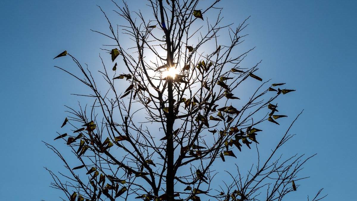 vara 2022 cea mai calda temepraturi extreme europa