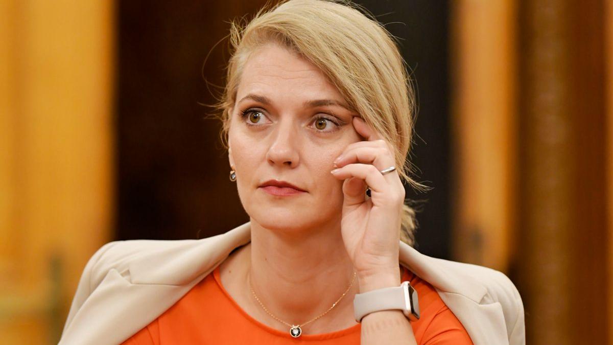 alina gorghiu etichete mitocani scoala de vara tnl