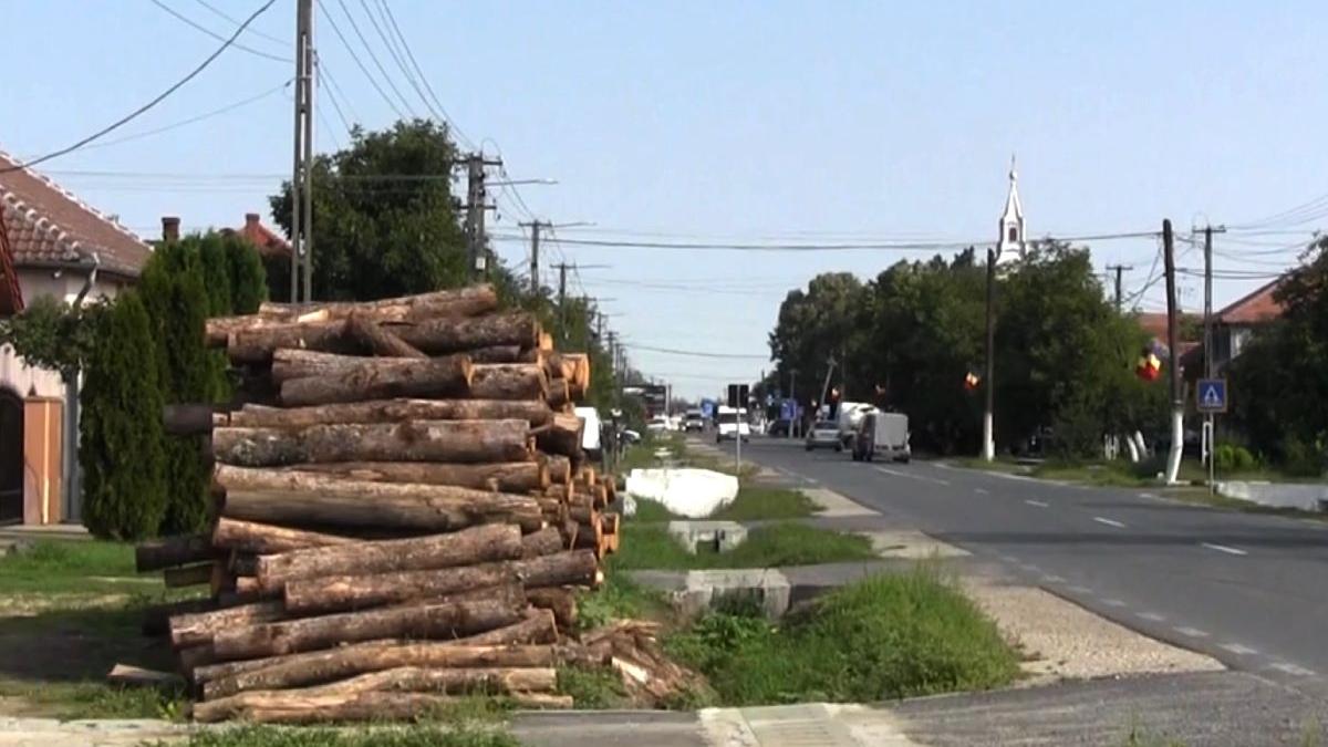 primarie seleus arad aviz investitie opt milioane euro statie biogaz