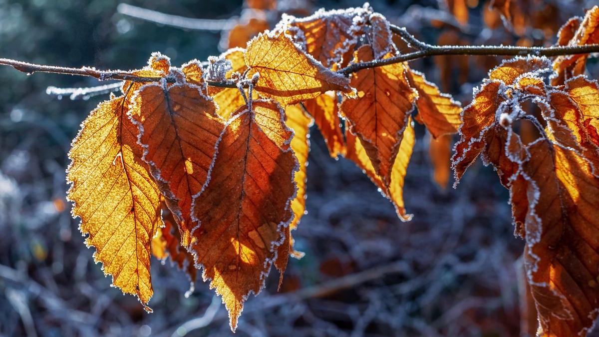 prognoza meteo 12 25 septembrie vremea