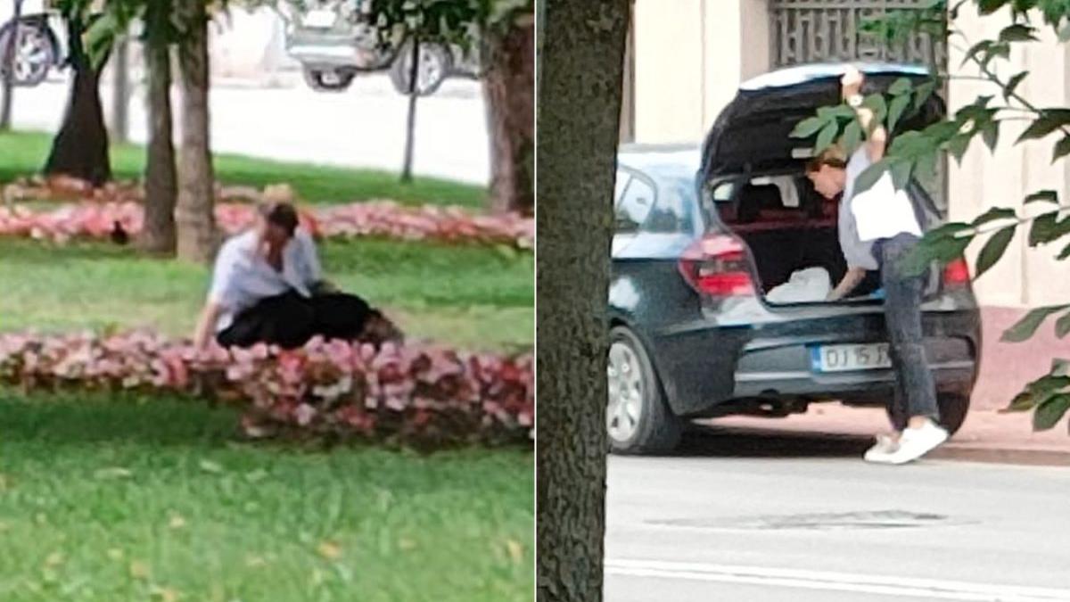 tanara bmw fura flori parcul mihai bravu craiova