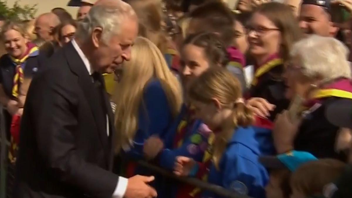 regele charles londra irlanda de nord