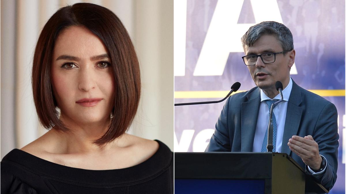 amalia nastase mesaj guvernantu schimbati legea liberalizare pret energie