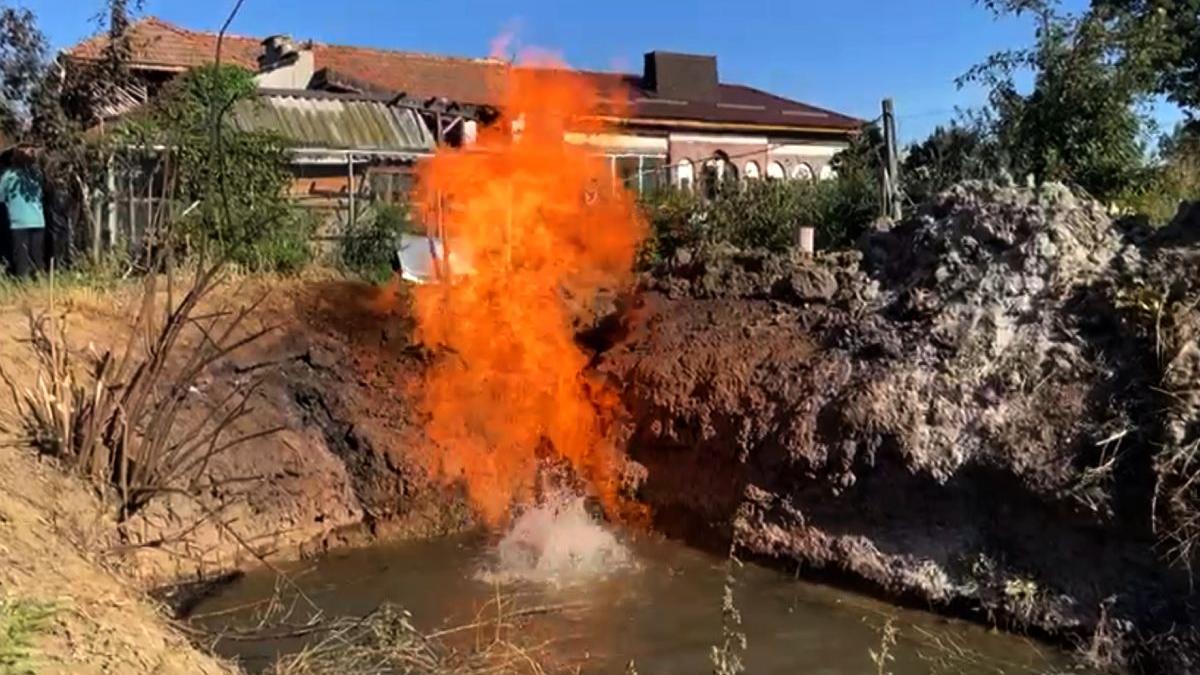 familie dolj bazdana punga gaze curtea casei