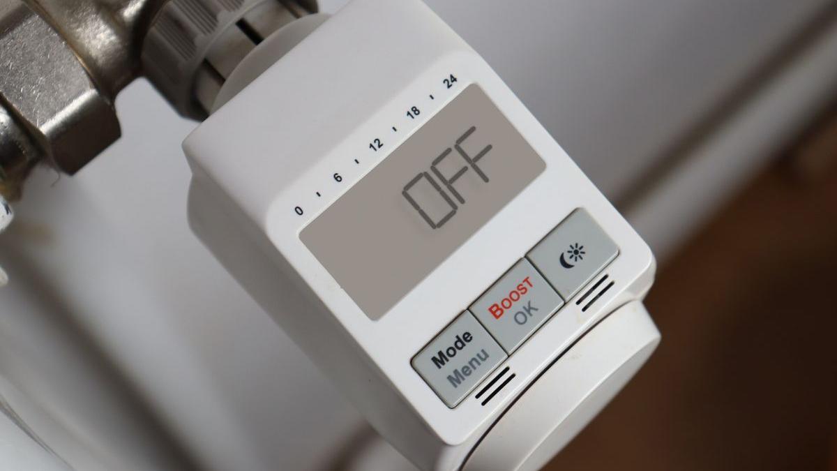 romani obligati economisire energie virgil popescu ursula von der leyen