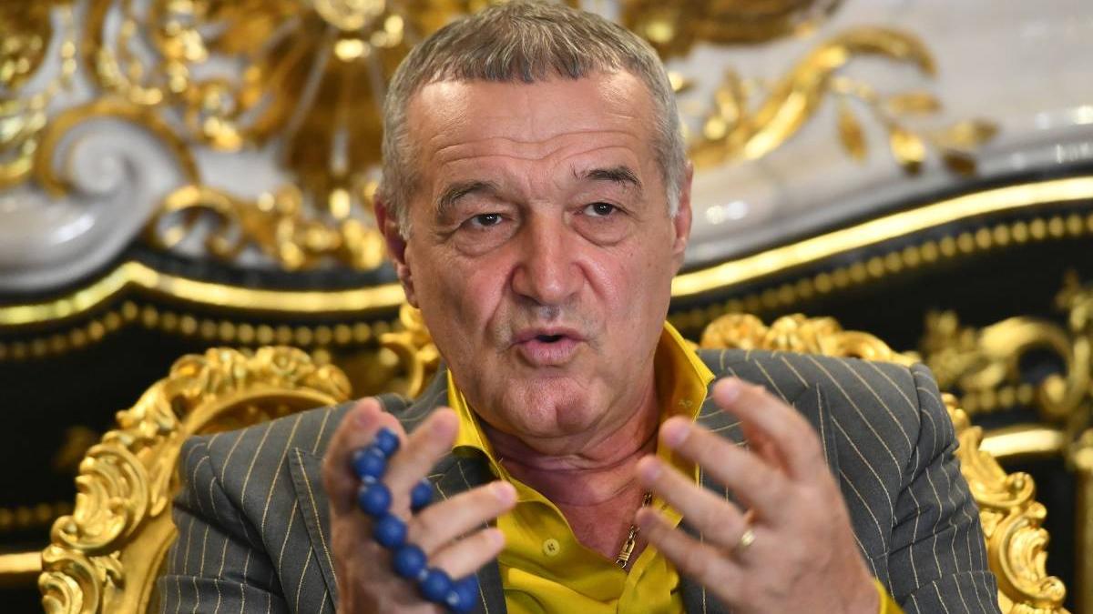 gigi becali casa arsenie boca