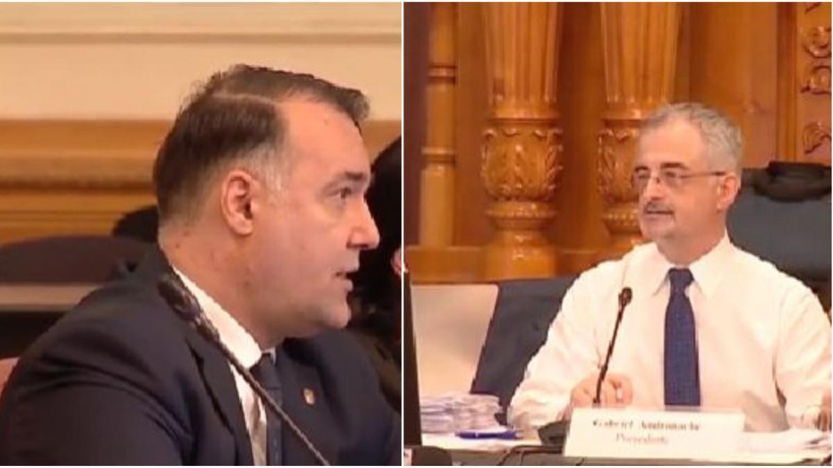 scandal parlament andi grosaru gabriel andronache