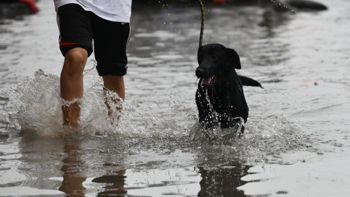 avertizare meteo anm cod galben ploi torentiale vijelii romania
