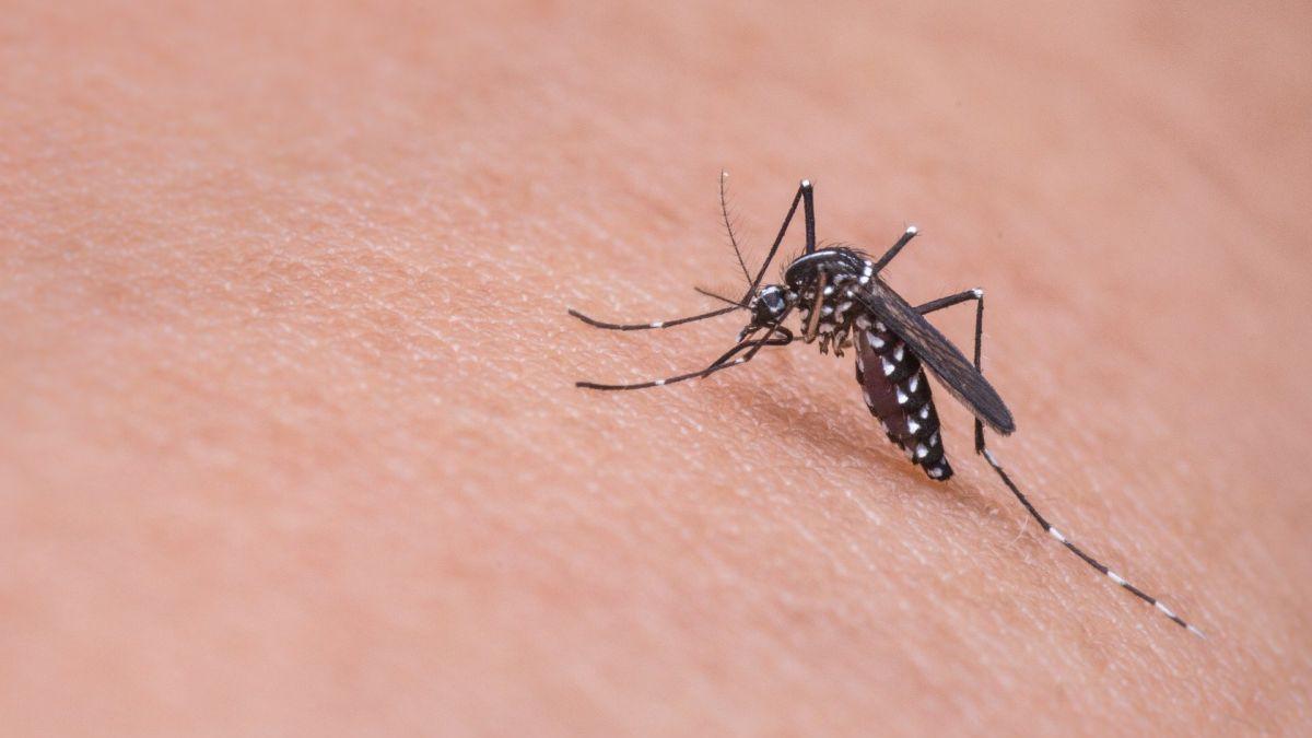 femeie infectata virusul west nile a murit spital braila
