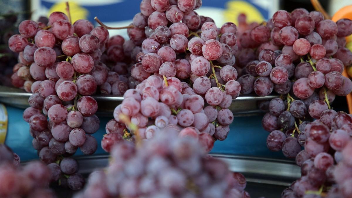 cand devine mustul periculos sanatate