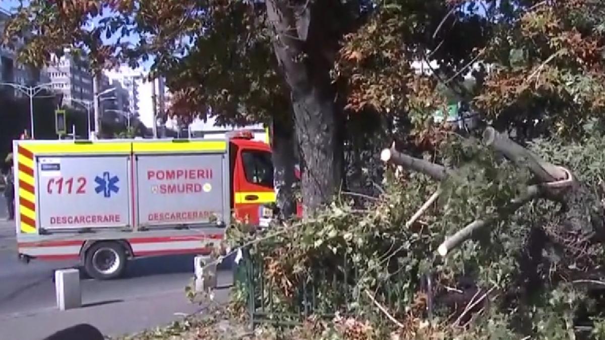 copaci cazuti zone bucuresti vant puternic