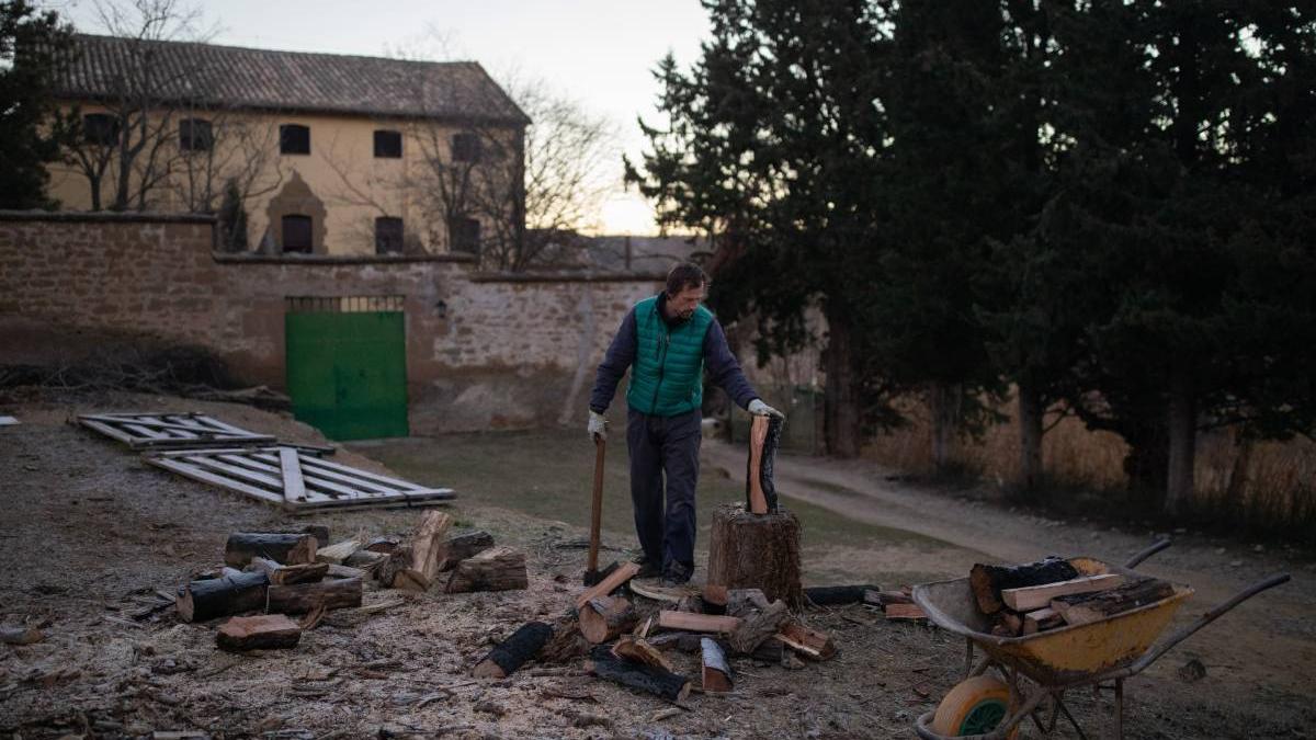 pret lemn de foc plafonat