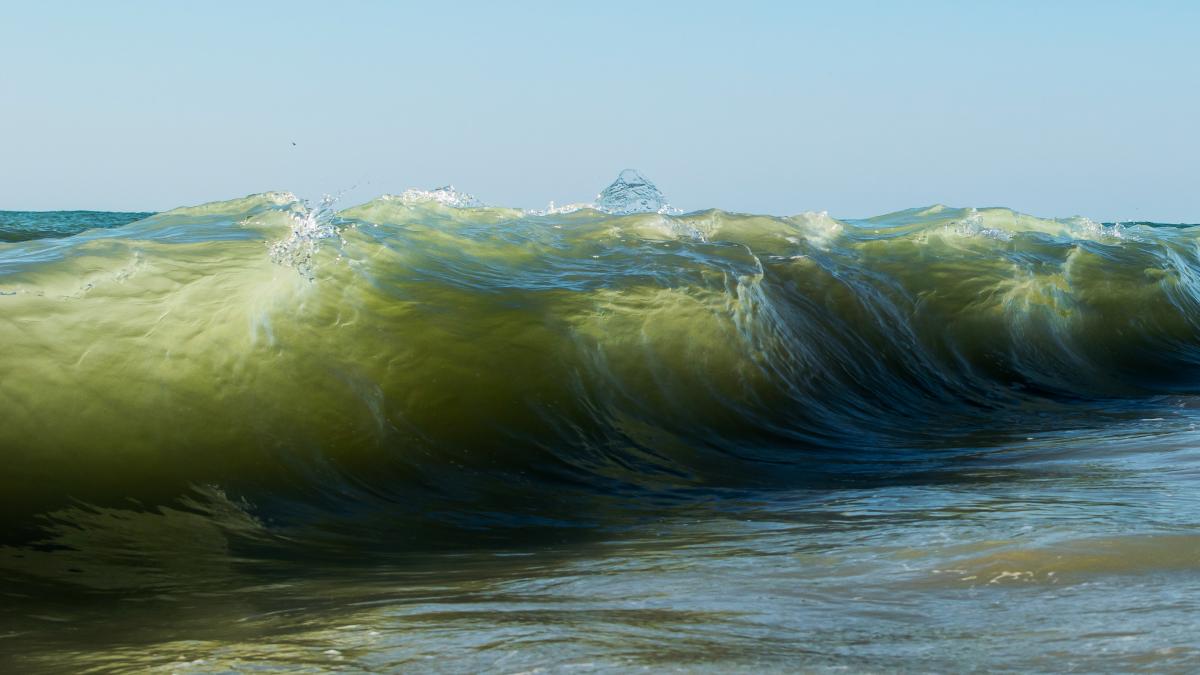 rus disparut marea neagra windsurfing costinesti