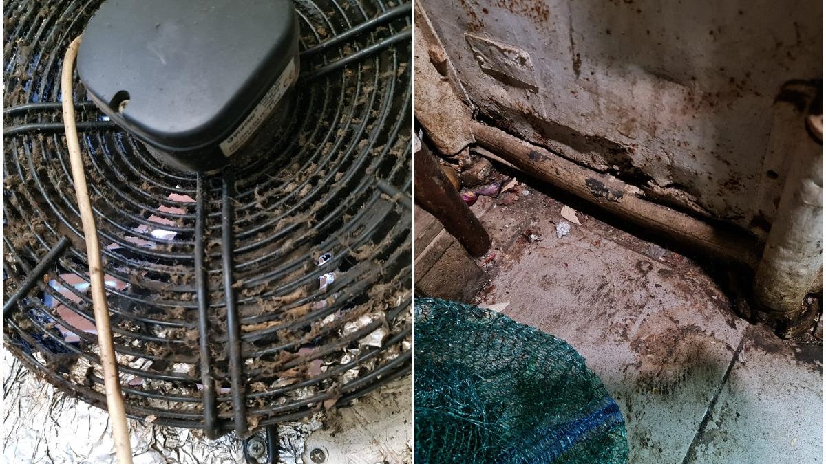 anpc amenzi bistro sector 2 bucuresti mancare expirata