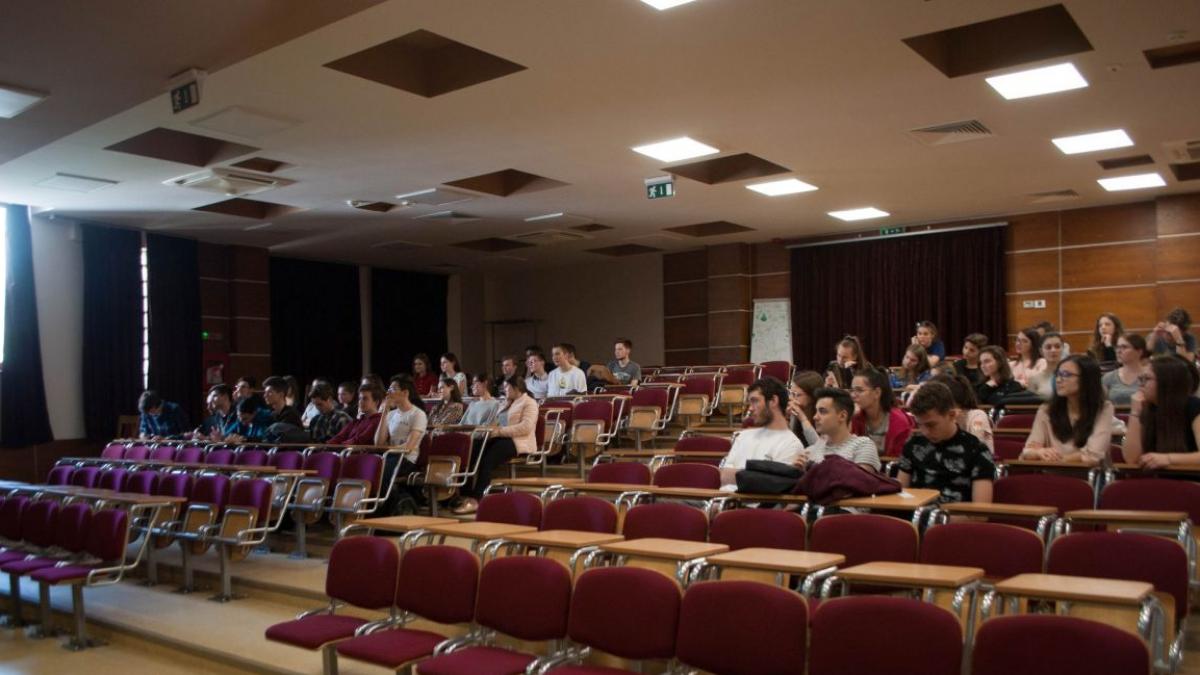 greva japoneza liceu gheorghe sincai baia mare cladire renovare elevi