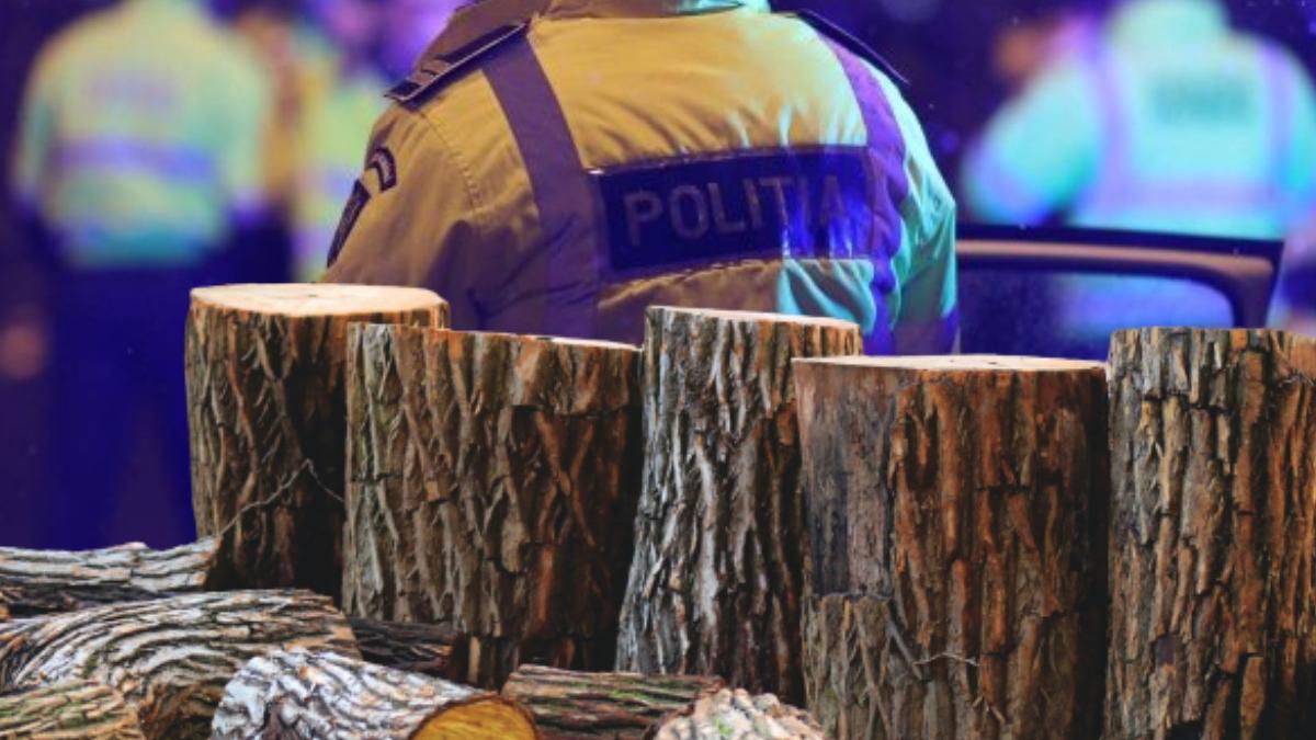 politisti amenintati sef amenzi mafia lemnului ancheta interna politie europol