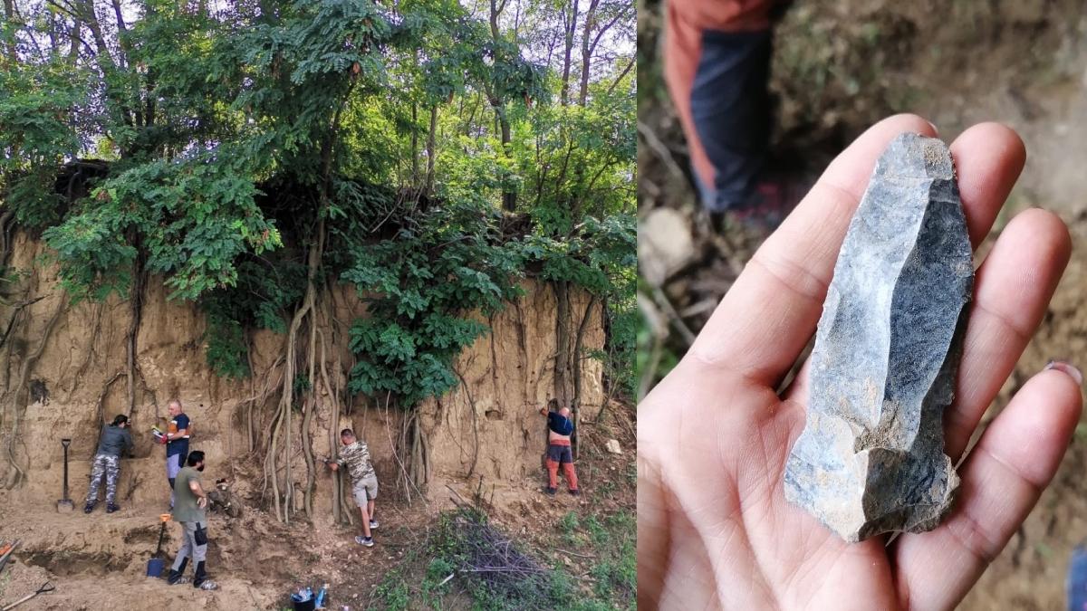 sit arheologic paleolitic descoperit vrancea