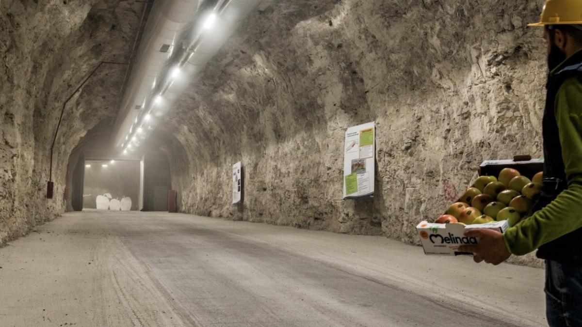 cultivatori depoziteaza fructe pesteri reduc facturi energie italia