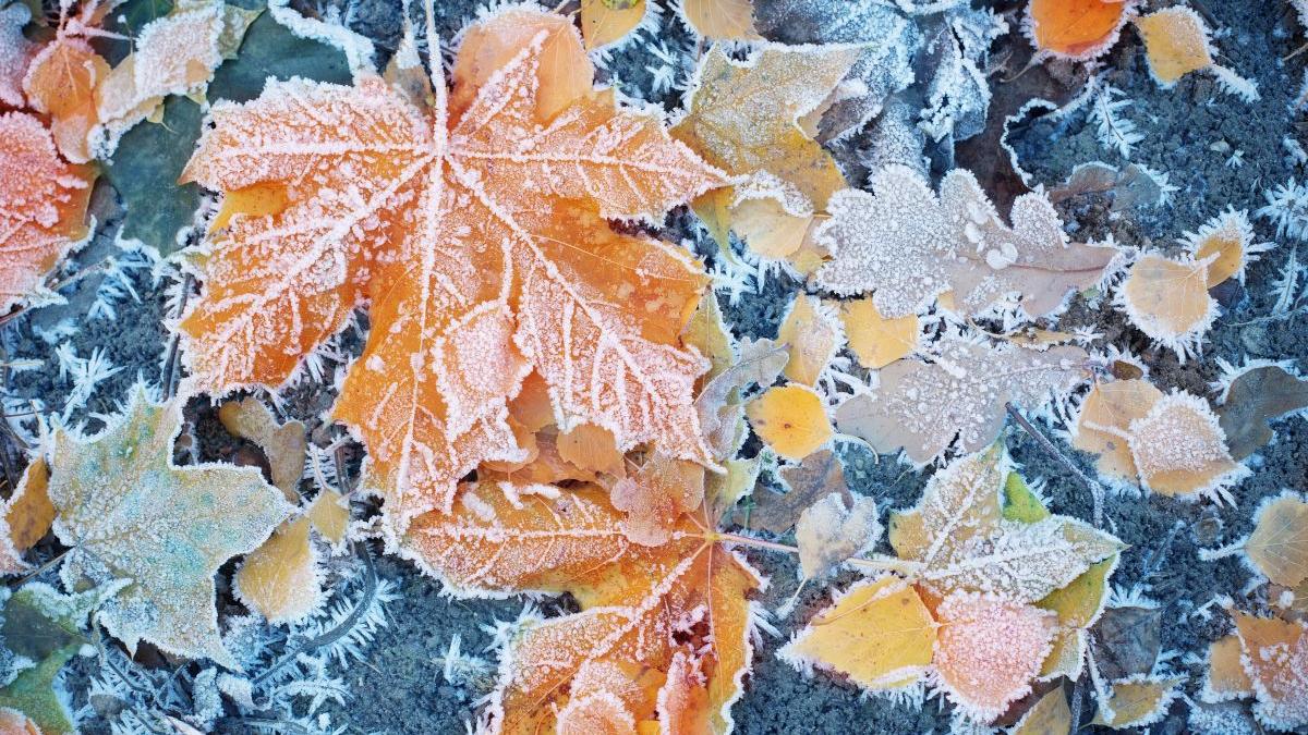 vremea prognoza meteo