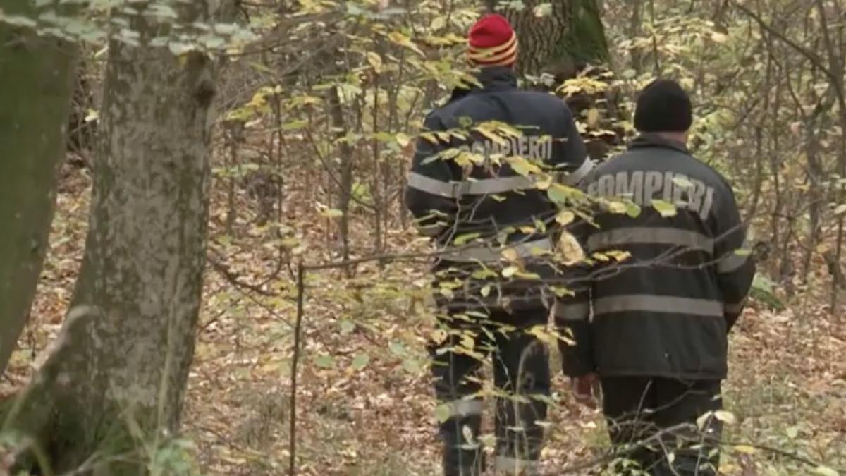sase copii intre 6 si 12 ani disparuti noaptea padure salaj