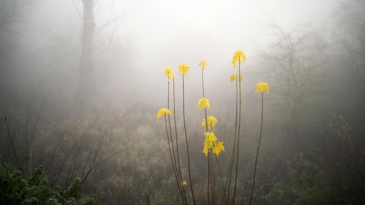 prognoza meteo 26 septembrie 24 octombrie