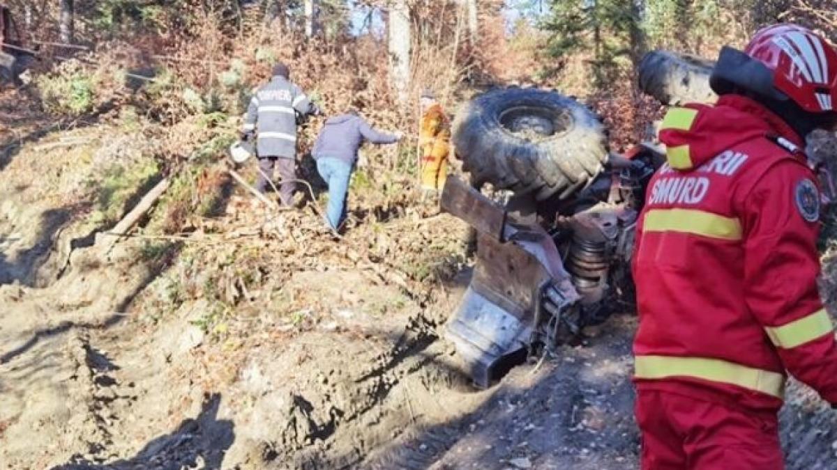 barbati gasiti morti padure bihor utilaj forestier
