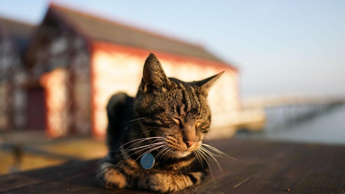 prognoza meteo weekend vremea