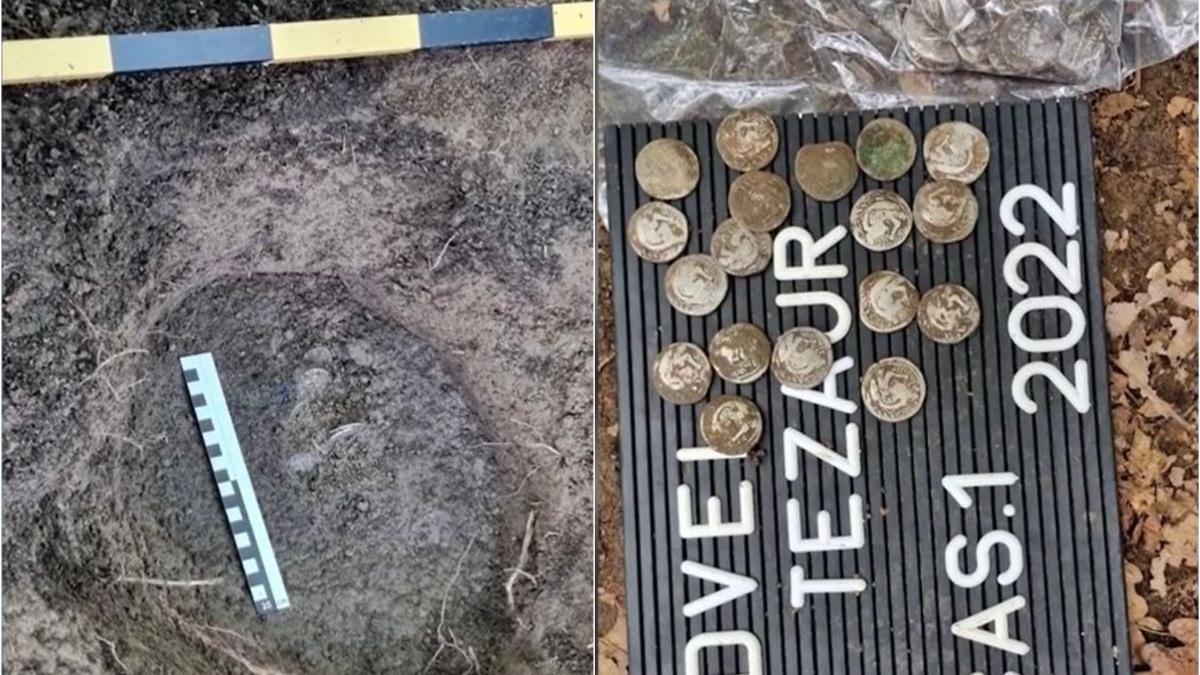 bani ingropati pamant gasiti padure alba