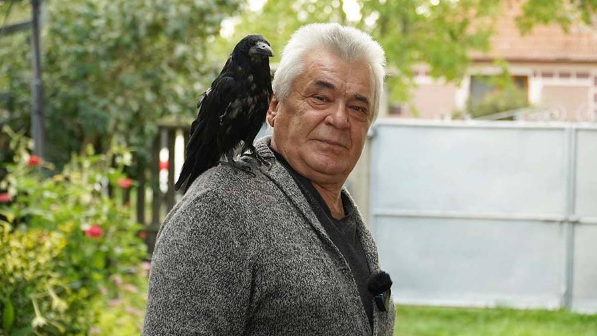 barbat ineu bihor nedespartit corb creste doi ani