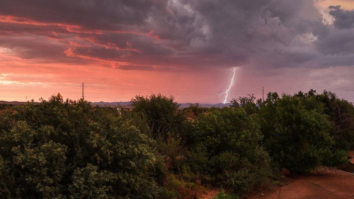 barbat lovit trasnet cules ciuperci padure bihor
