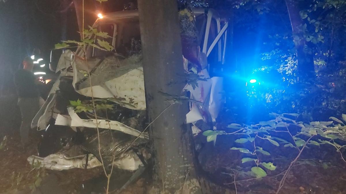 accident tragic judetul vaslui tanar 28 de ani a murit masina copac