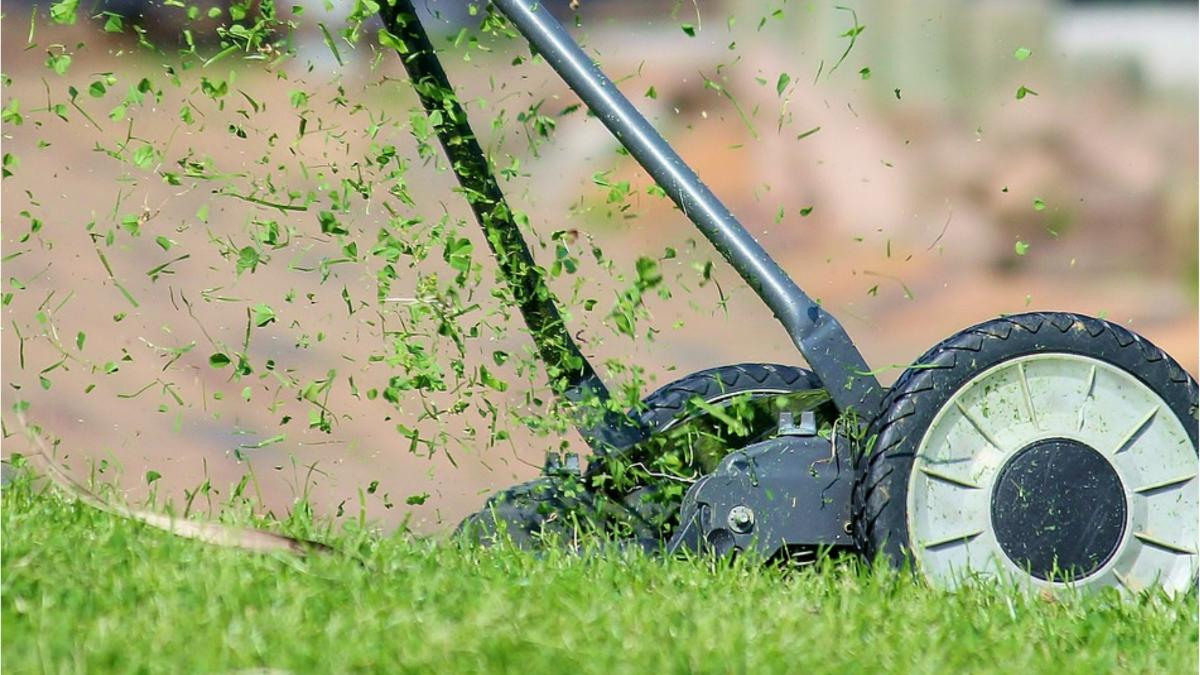 amenzi ambrozie proprietari teren bucuresti