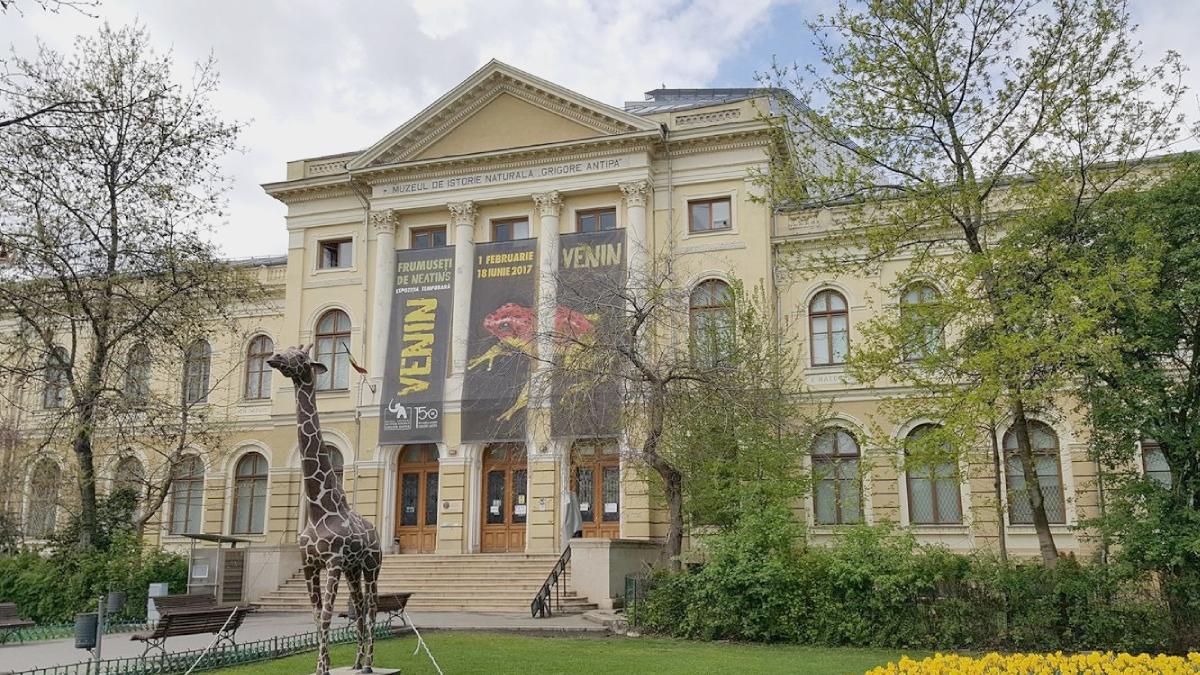 glume muzeul antipa intrare gratuita romani nume animale